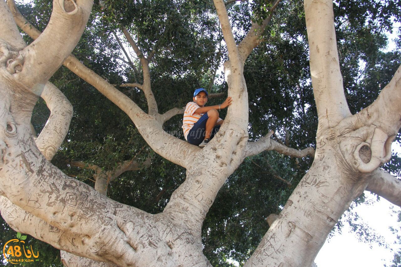 markaz tarfethe (30).jpg